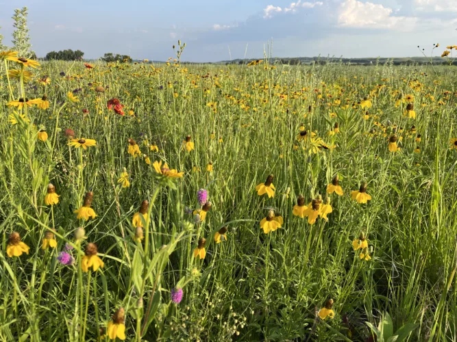 Audubon program opens enrollment for next phase